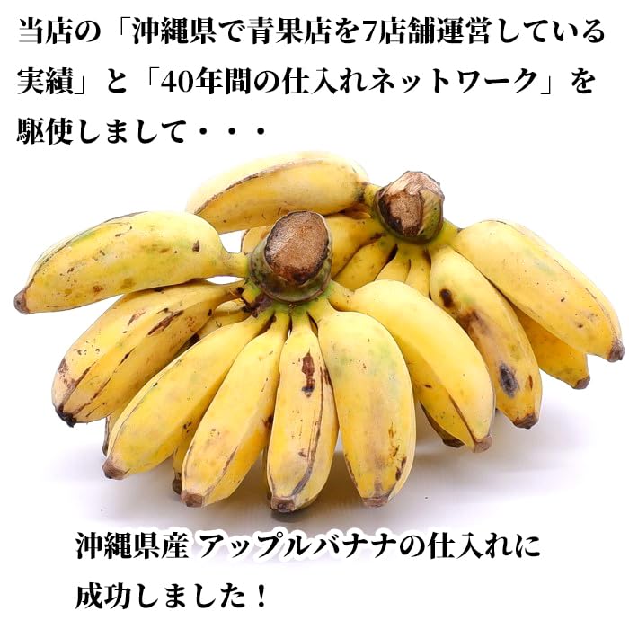 アップルバナナ　8KG　沖縄産 Amazon.co.jp: 沖縄県産 アップルバナナ【販売：沖縄琉堂】 (8kg
